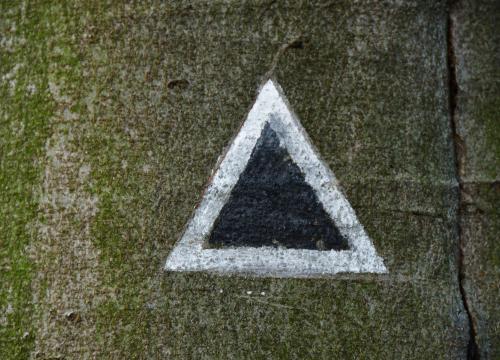 Miejski Szlak Spacerowy na Łyskę