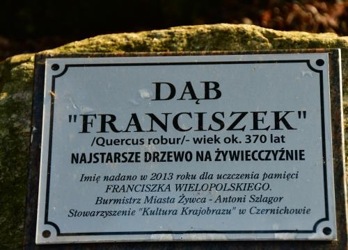 żywiecki park