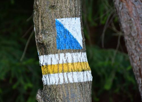 Szlak PTTK na Grojec