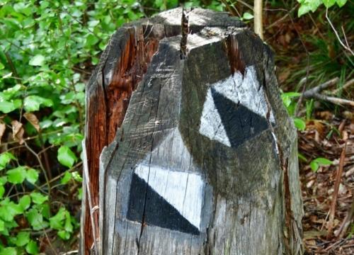 Miejski Szlak Spacerowy na Łyskę