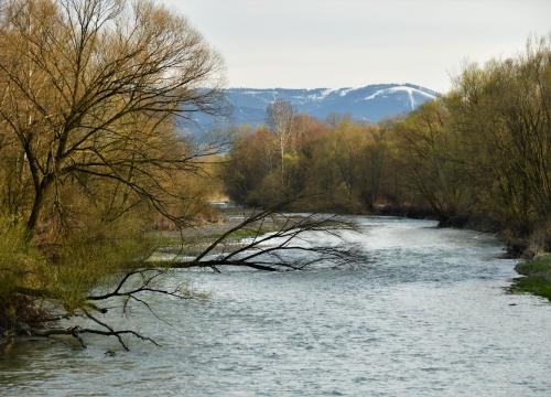 Szlak PTTK na Grojec