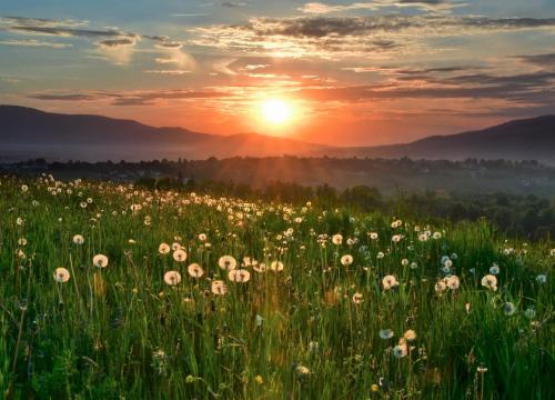 Miejski Szlak Spacerowy na Łyskę