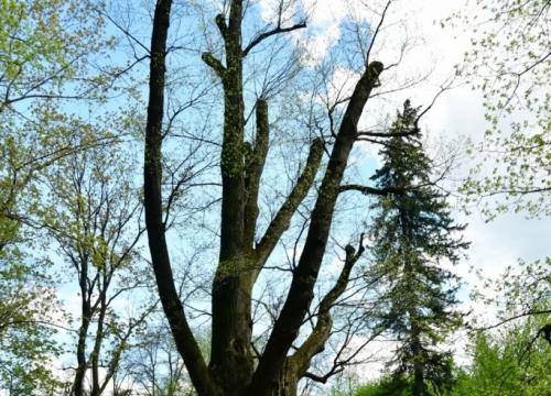 Szlak właścicieli miasta Żywca