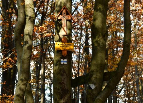 Miejski szlak spacerowy na Jaworzynę 