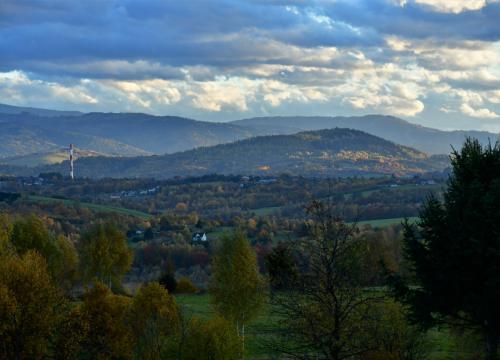 jaworzyna
